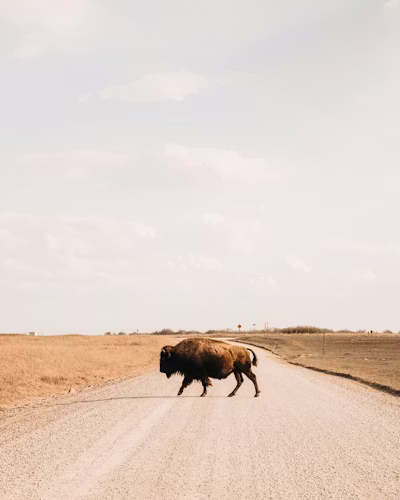 Oklahoma